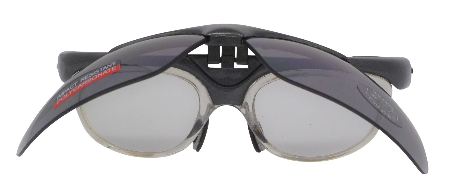 Flipped-up Lens with Insert fitted